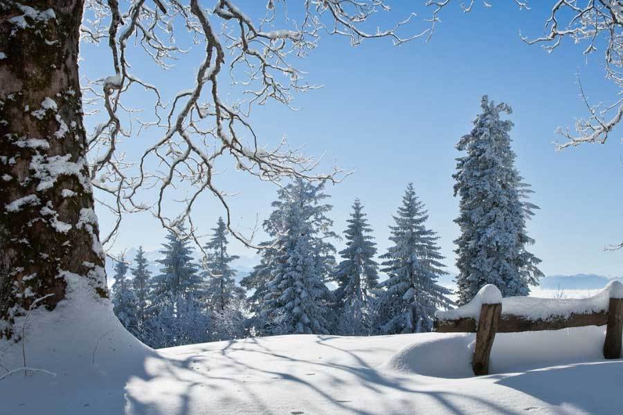 中国电竞戰(zhàn)队奪(duó)得(dé)世(shì)界冠軍(jūn)