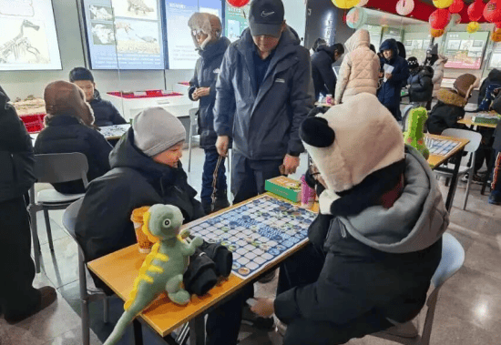 伊春市嘉荫县神州恐龍(lóng)博物馆“赛龍(lóng)棋(qí)”比赛收官